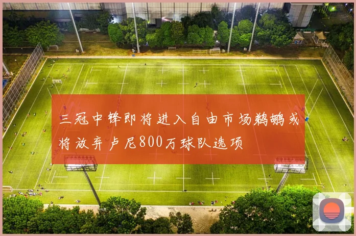 三冠中锋即将进入自由市场鹈鹕或将放弃卢尼800万球队选项