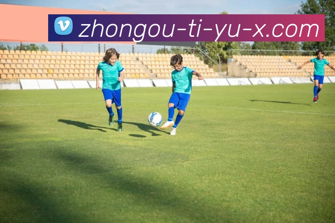 奖项证书
